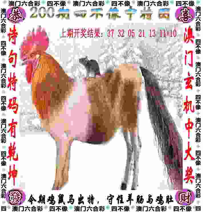 >新门内部免费资料大全
